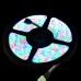 3528 RGB LED Waterproof Strip - 5 meter